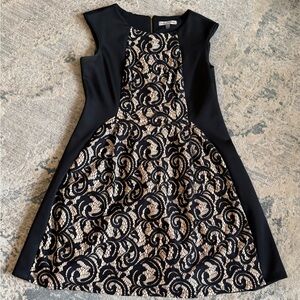 Elegant Black and Tan Dress